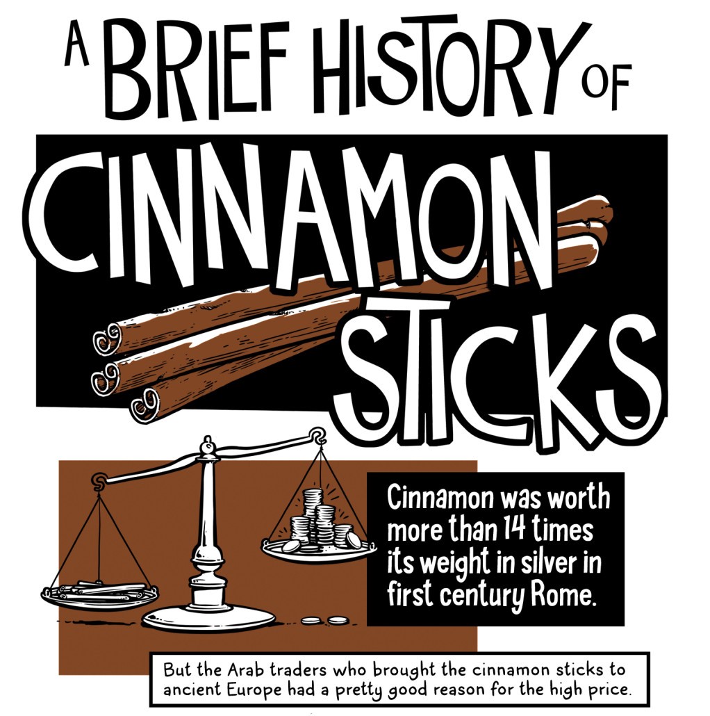 a brief history of cinnamon sticks, okey-panky