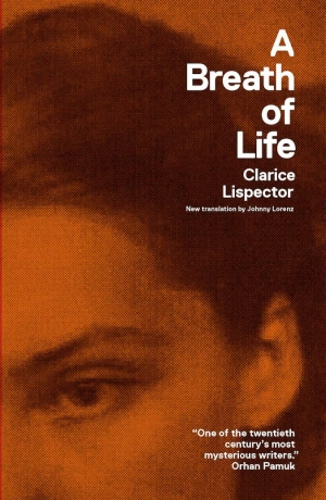 Image result for clarice lispector new directions