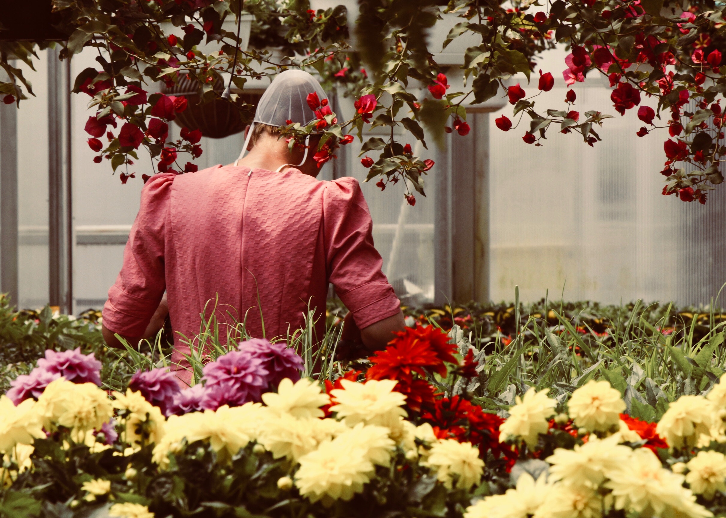 Mennonite woman surrounded by flowers