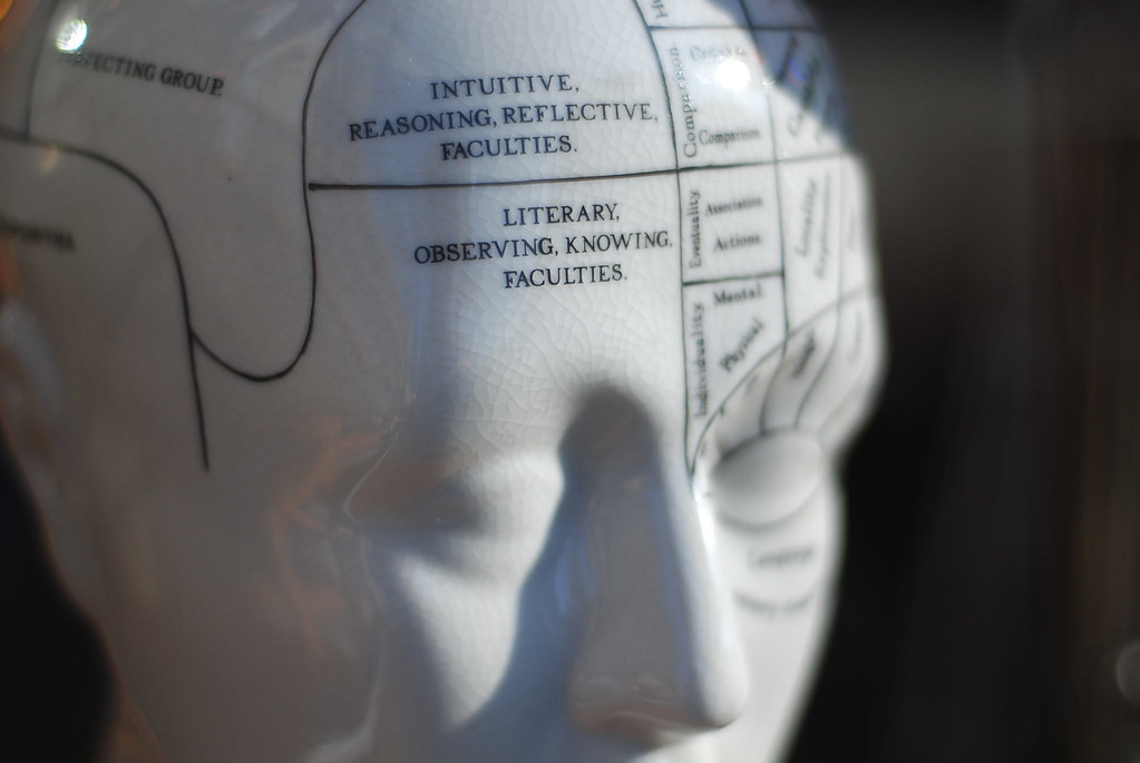 Phrenology head