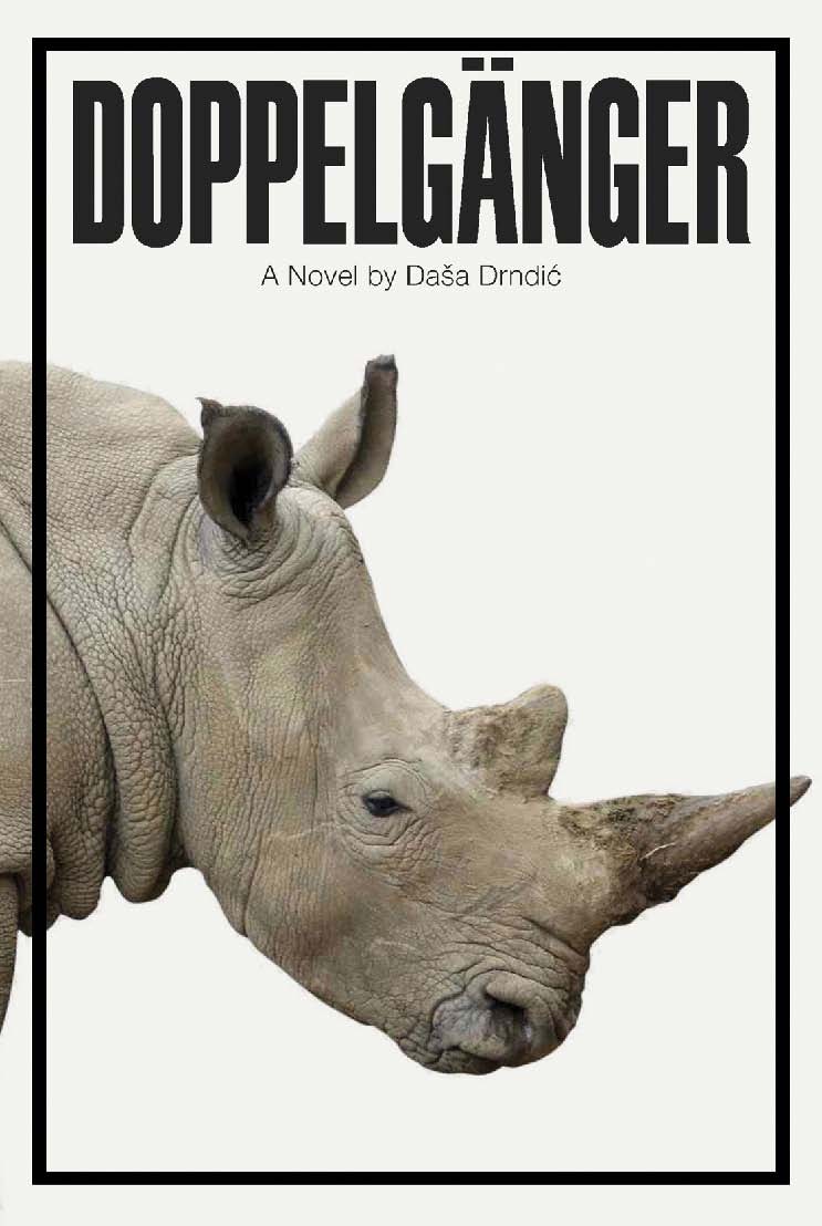 Image result for black rhinoceros