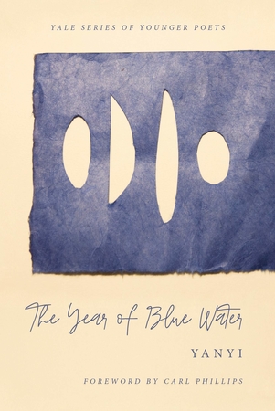 Image result for The Year of Blue Water