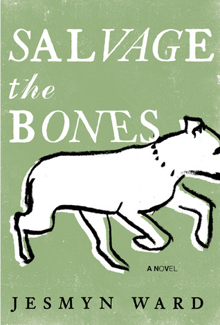 Image result for salvage the bones book