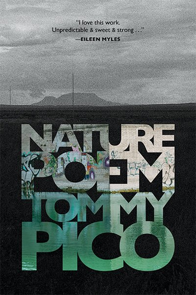 Image result for nature poem tommy pico