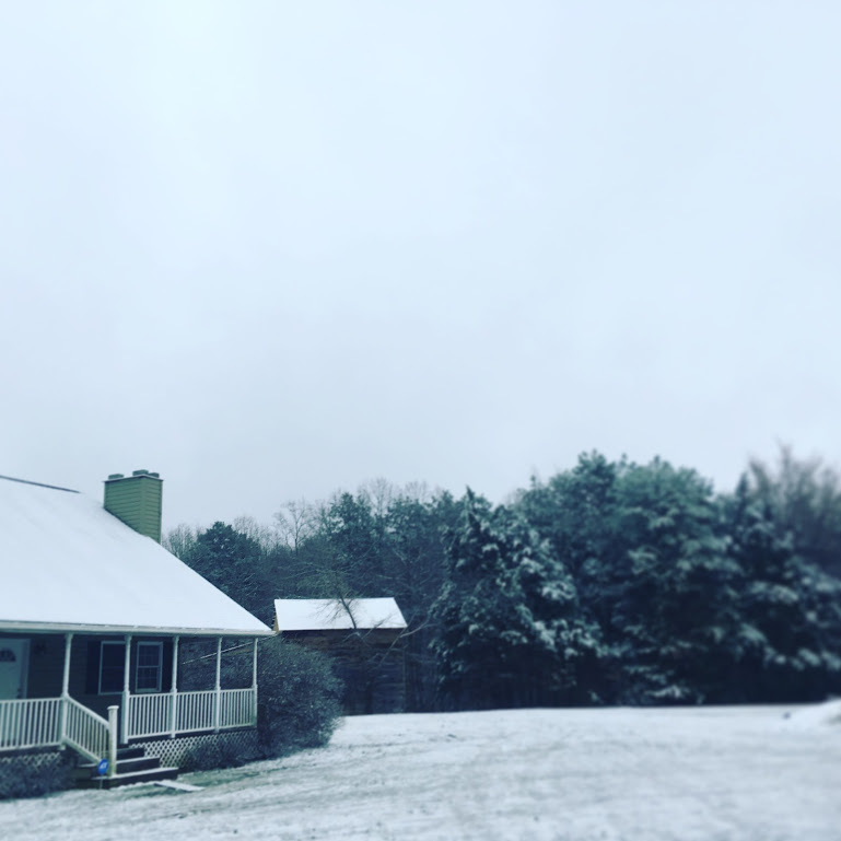 A snow-covered porch and trees