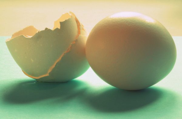 One whole and one broken egg