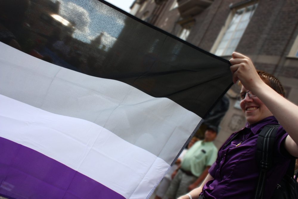Person holding the black, grey, white, and purple asexual flag