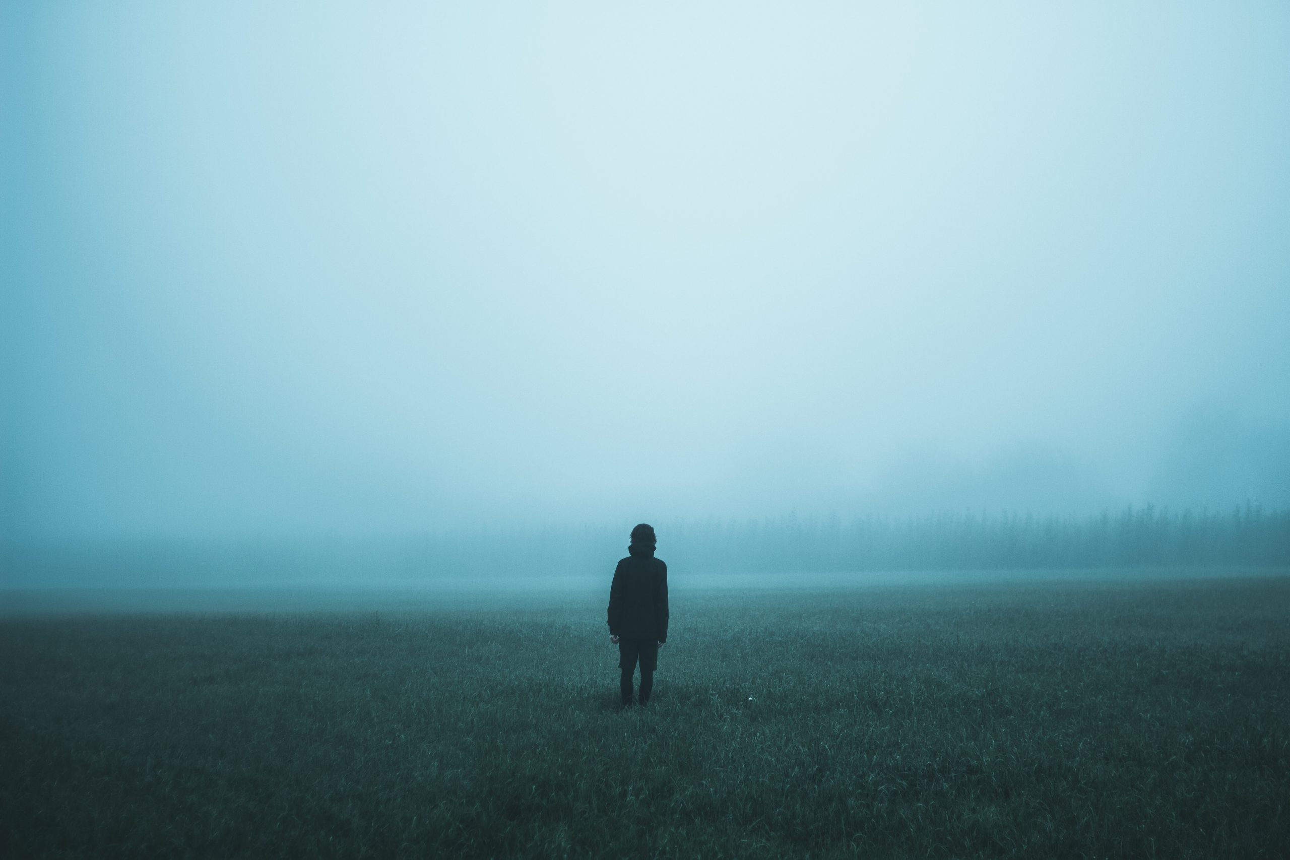 person in misty field