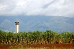 maui tower