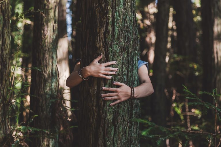 woman hugging tree