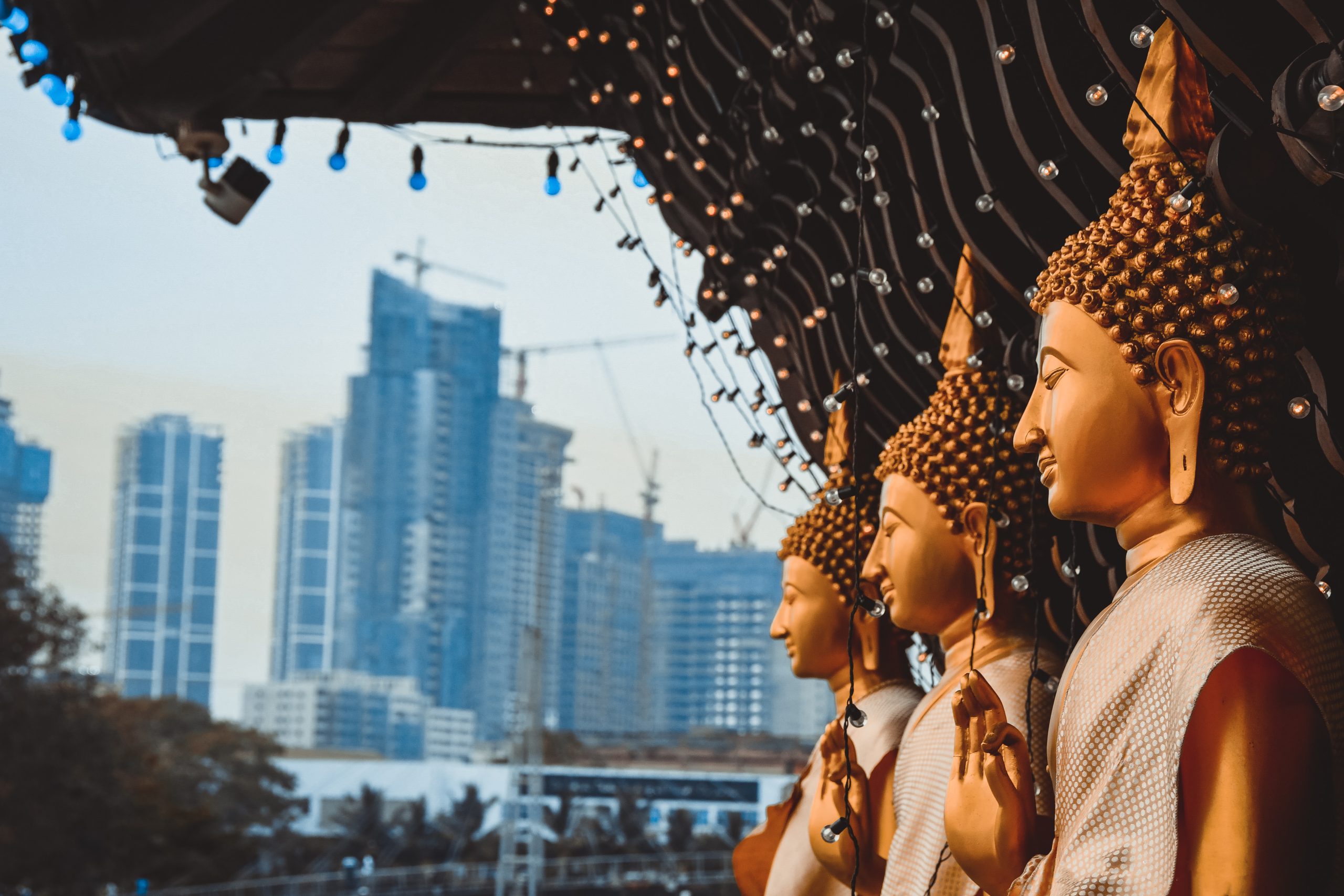 A row of Buddha statues in a temple in Sri Lanka