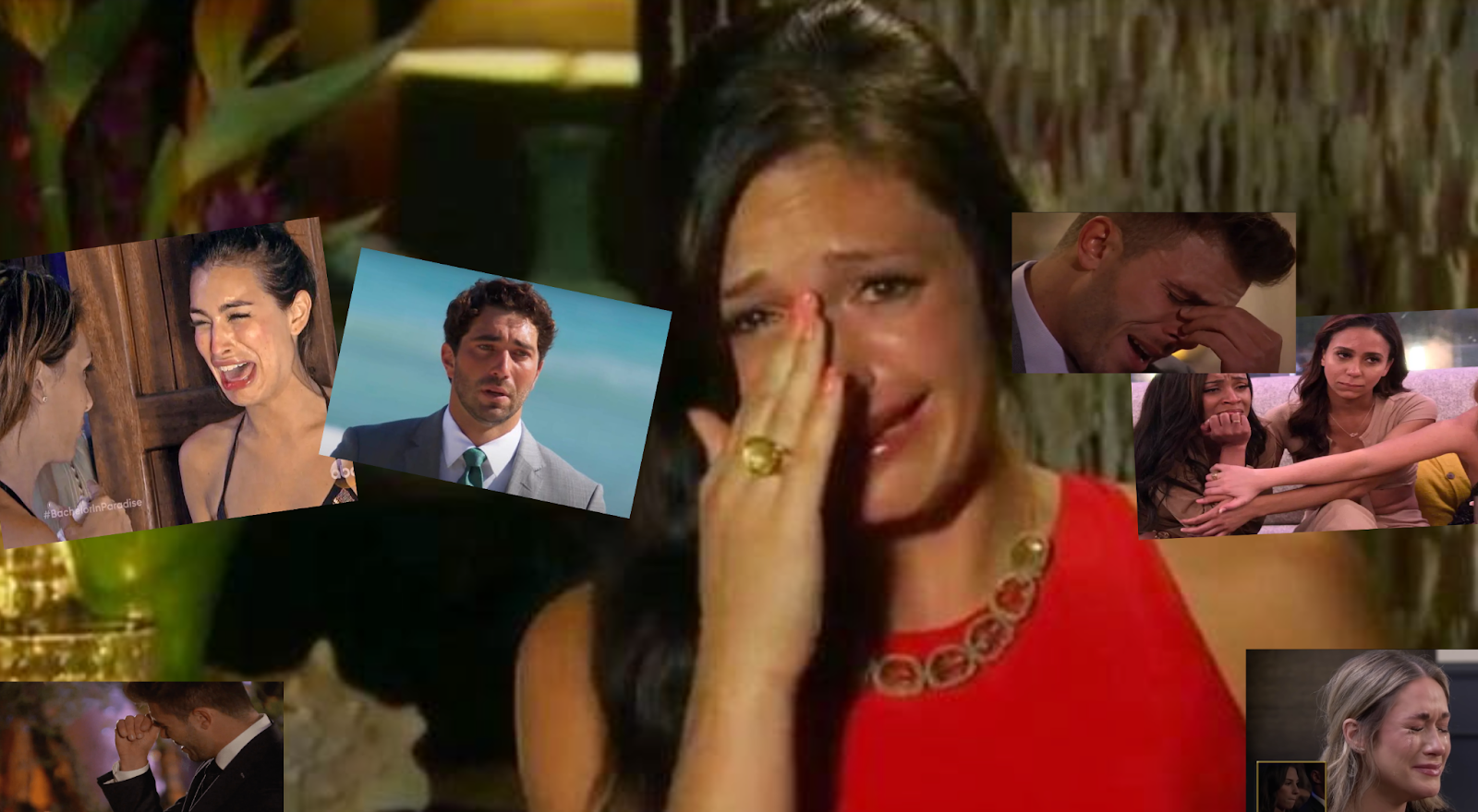 Compilation of screenshots from Bachelor in Paradise, The Bachelor, and Love is Blind