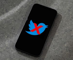 Twitter logo with X over it