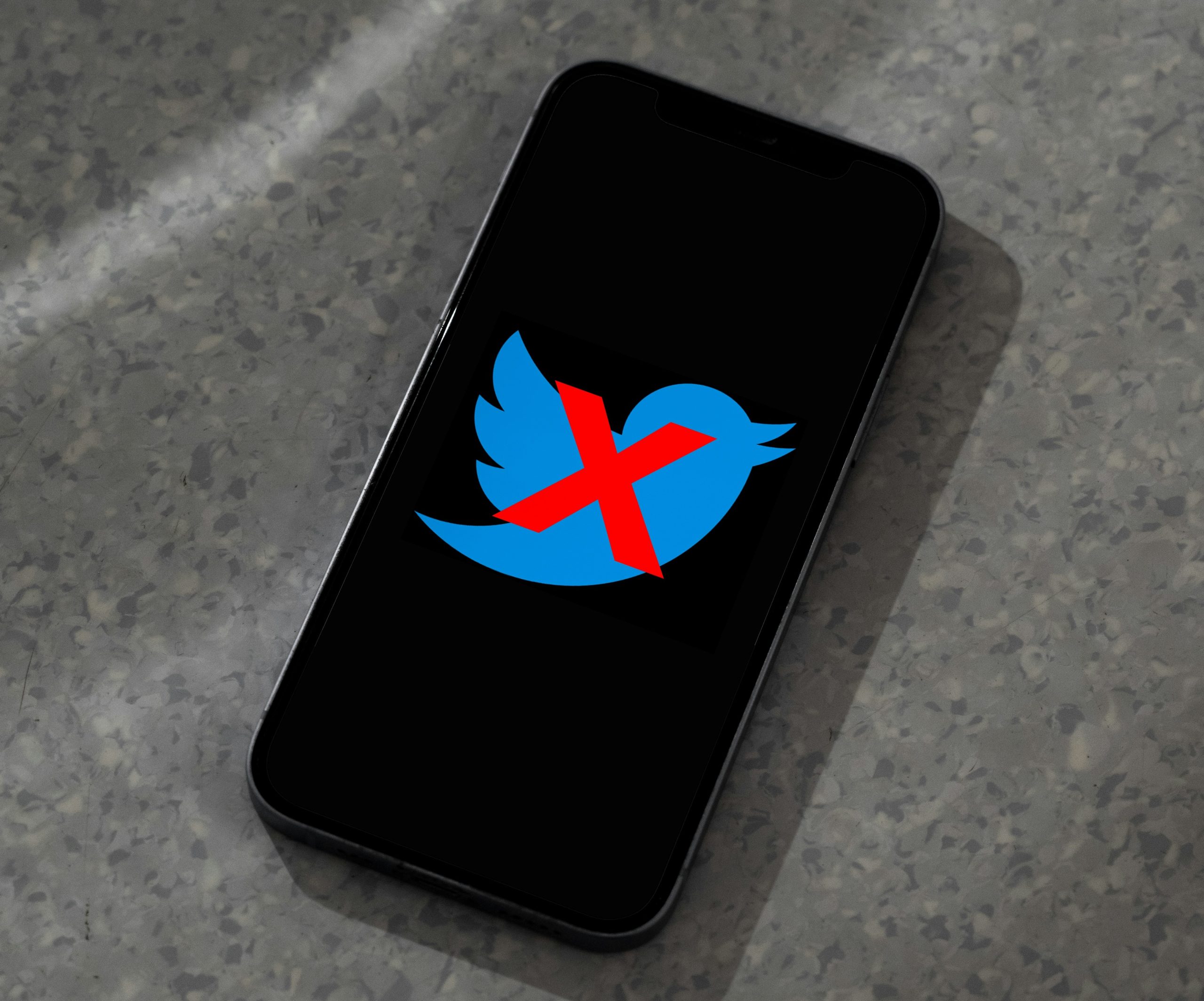 Twitter logo with X over it
