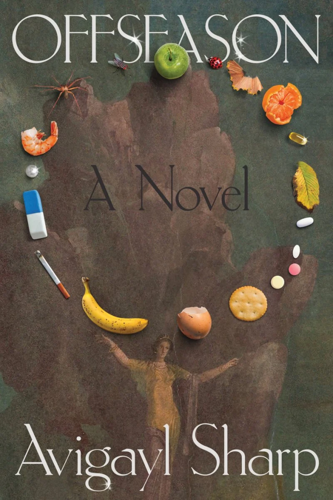A Campus Novel For a Post-Ironic World