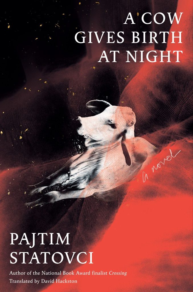 Exclusive Cover Reveal of “A Cow Gives Birth at Night” by Pajtim Statovci, Translated by David Hackston